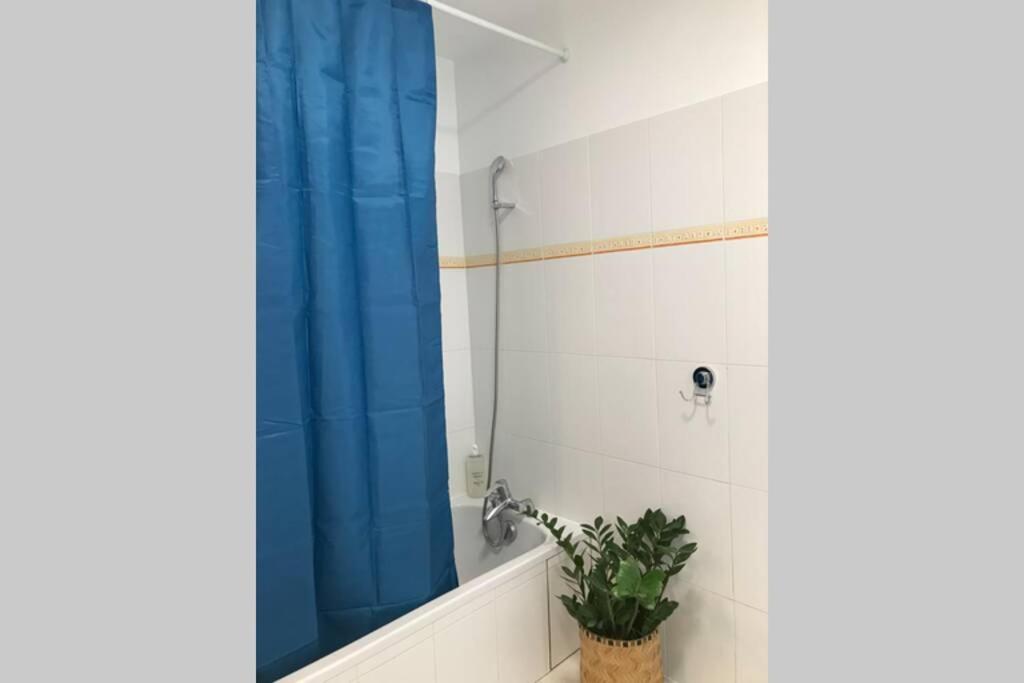 Le Cezanne - Centre Ville, Balcon, Garage آنسي المظهر الخارجي الصورة